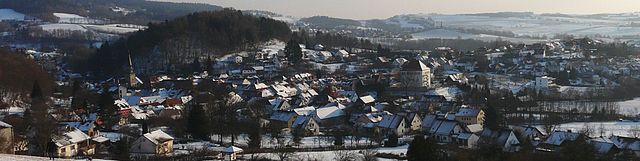 Gronich im Schnee